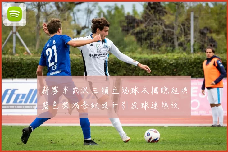 新赛季武汉三镇主场球衣揭晓经典蓝色深浅条纹设计引发球迷热议