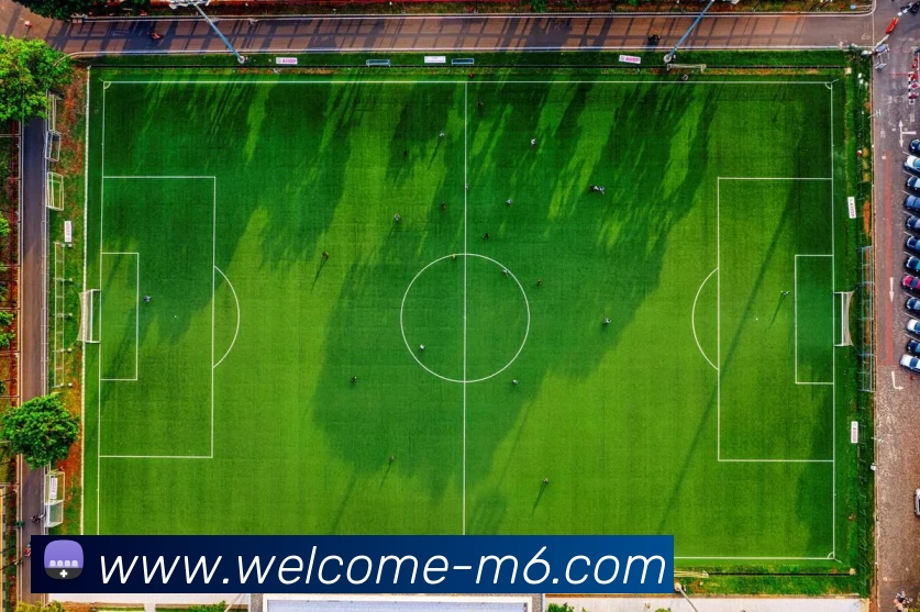 米乐体育发展历程